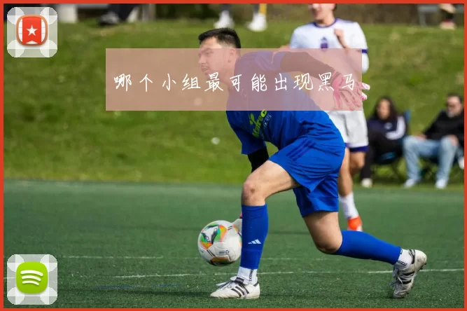 哪个小组最可能出现黑马